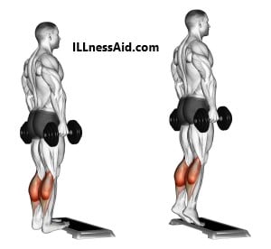 WEIGHTED CALF RAISES