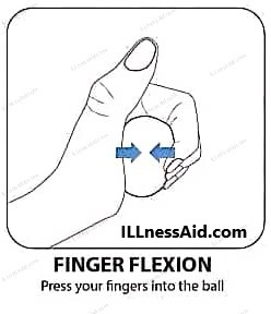 finger flexion exercise